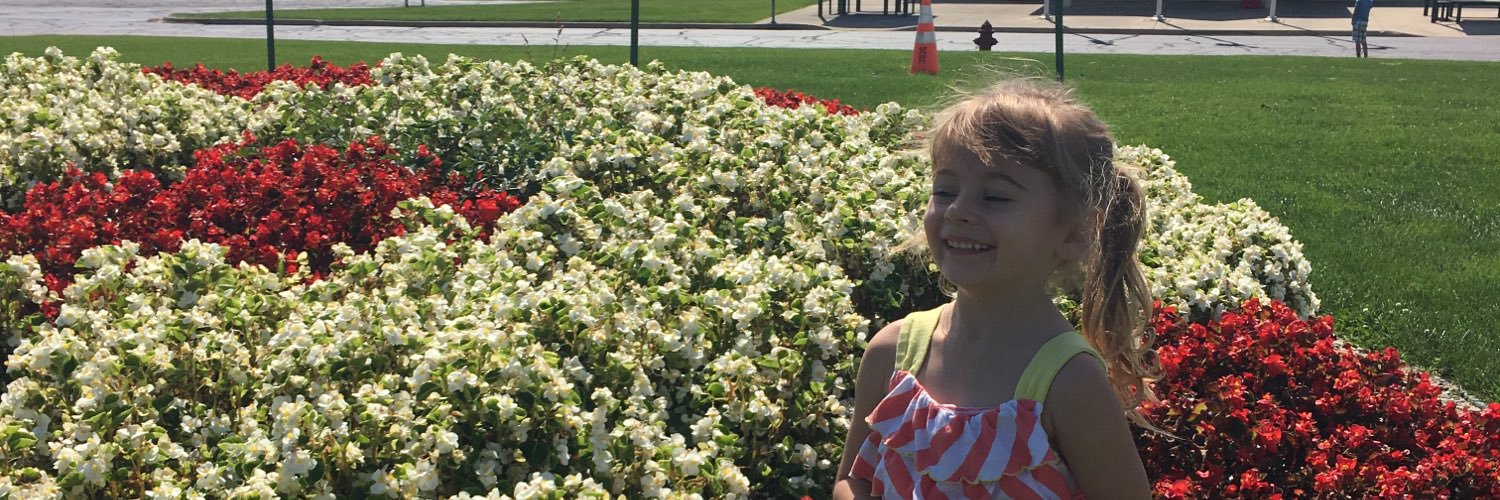 ElizabethDzuba's profile banner image