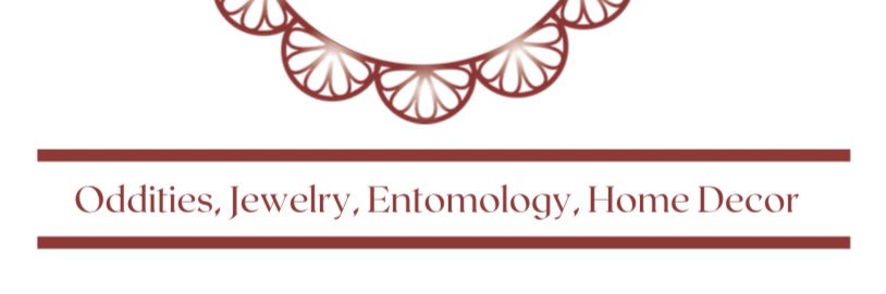 Kathiemeh's profile banner image