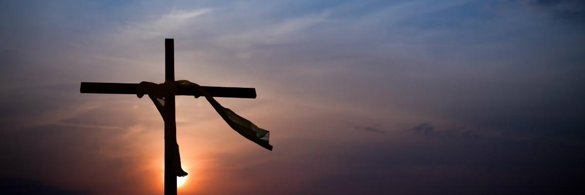 ndizpat's profile banner image