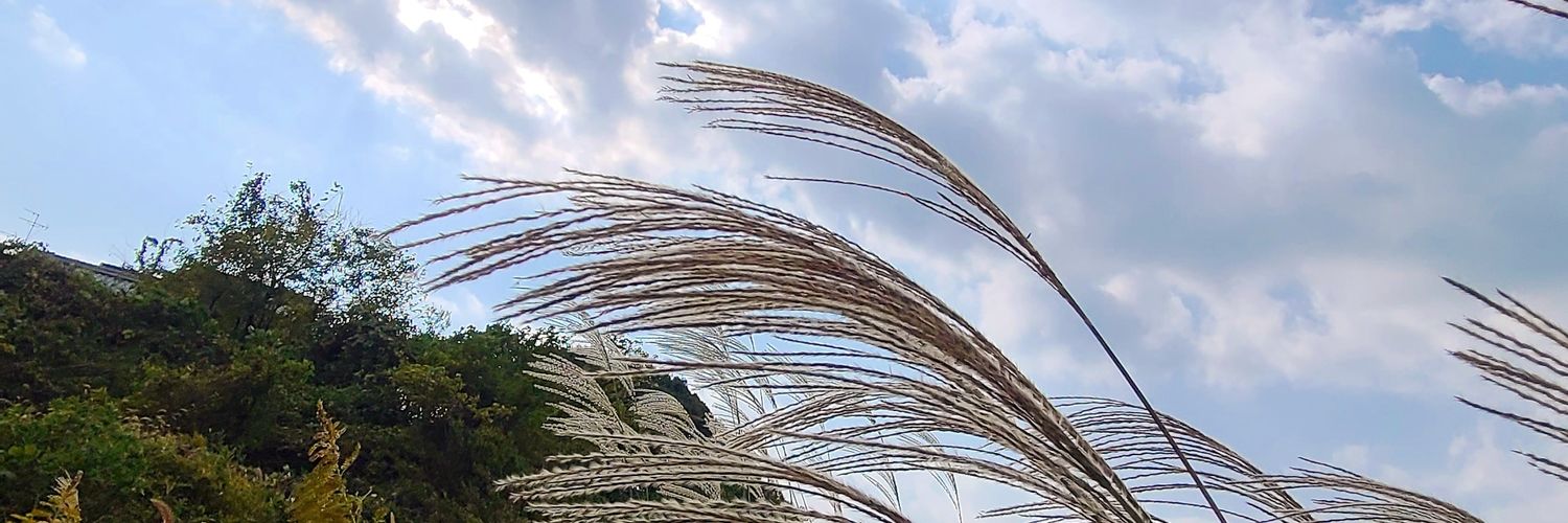 higurashe55's profile banner image