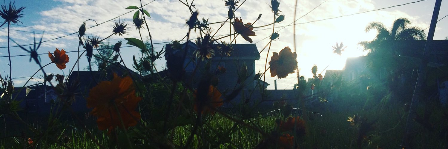 giospafford's profile banner image