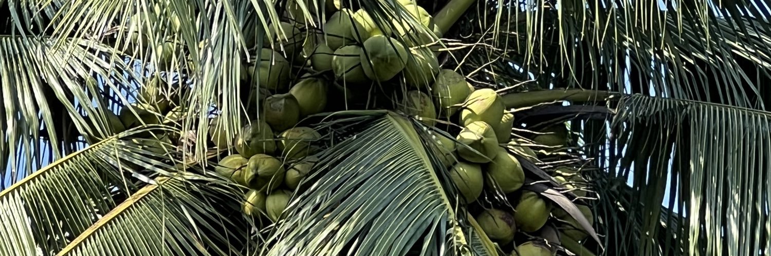 Jovie Narcise banner