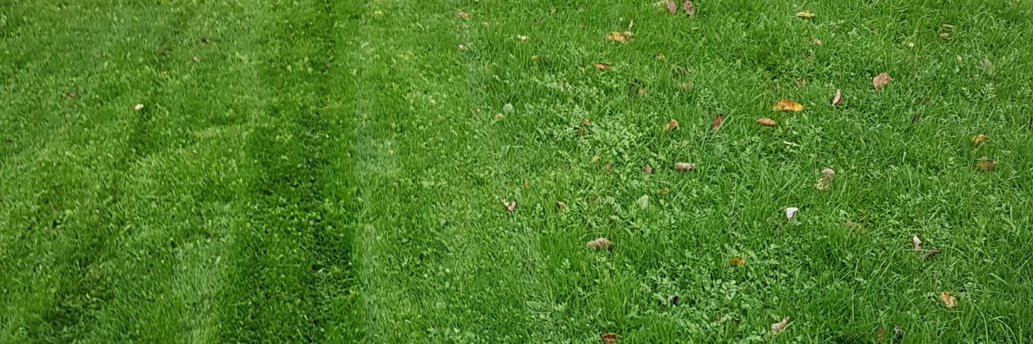 NaroP's profile banner image