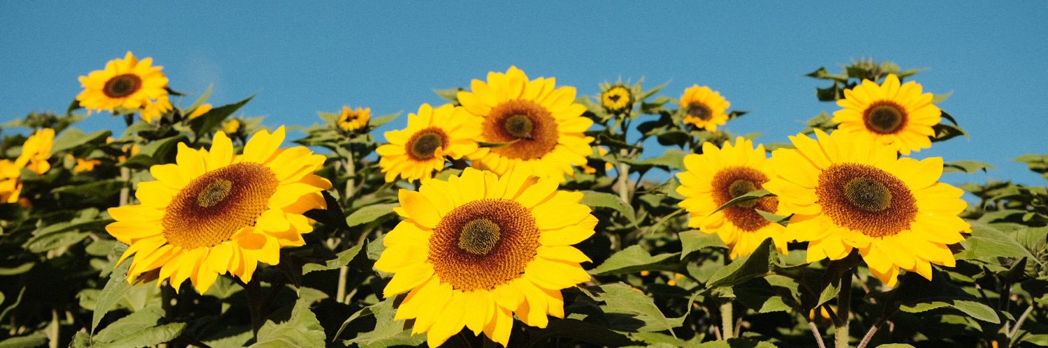 andrewalub's profile banner image