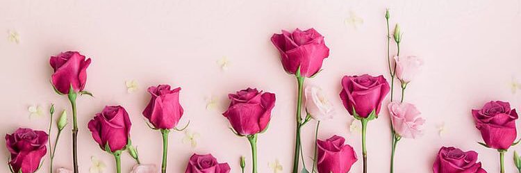 DanielleeB4's profile banner image