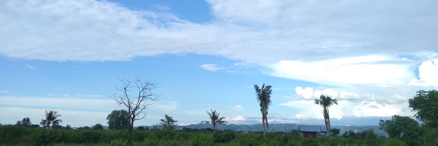 pucalaaa's profile banner image
