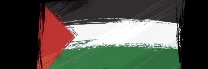 Zanzara banner