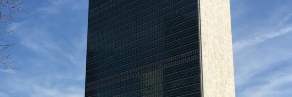 MayElinStener Profile Banner