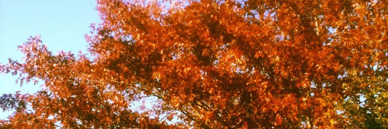 MattMox1's profile banner image