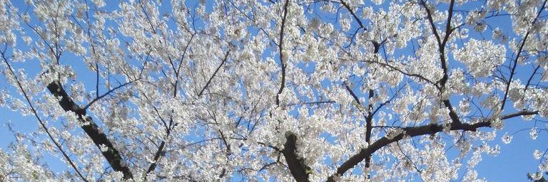 nakayubi666's profile banner image