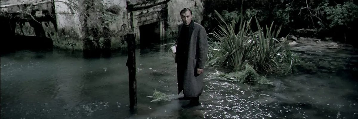 maxmauro10's profile banner image