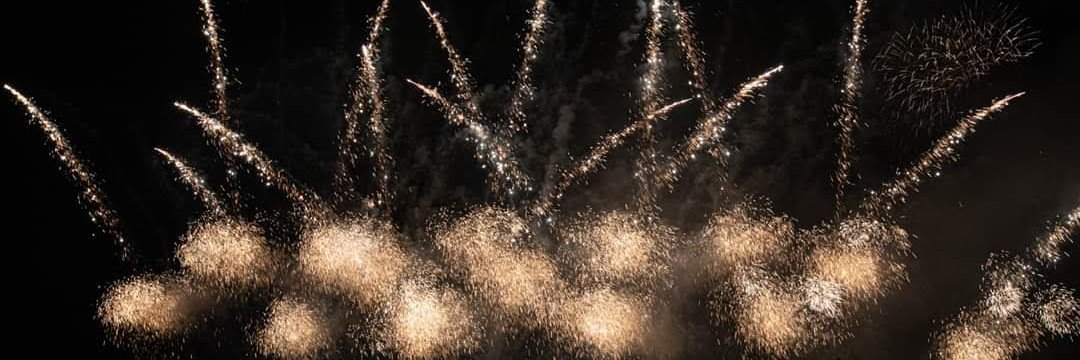 Amanda Heidemann MD banner