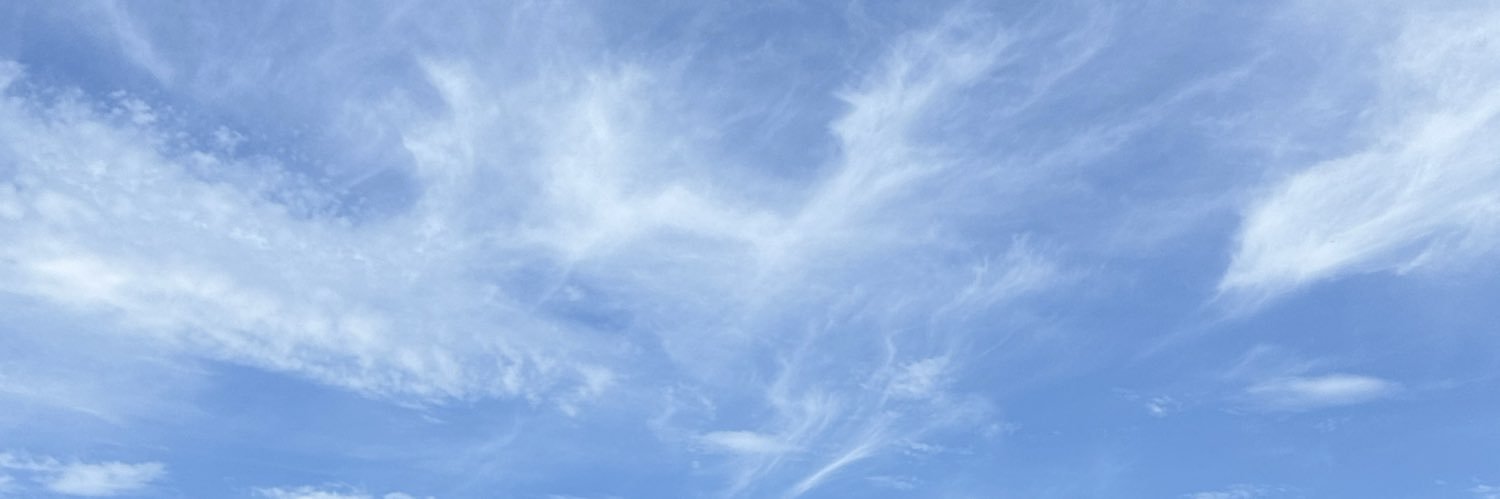 mel0_chan's profile banner image