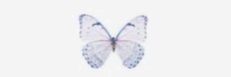 haifa_32's profile banner image
