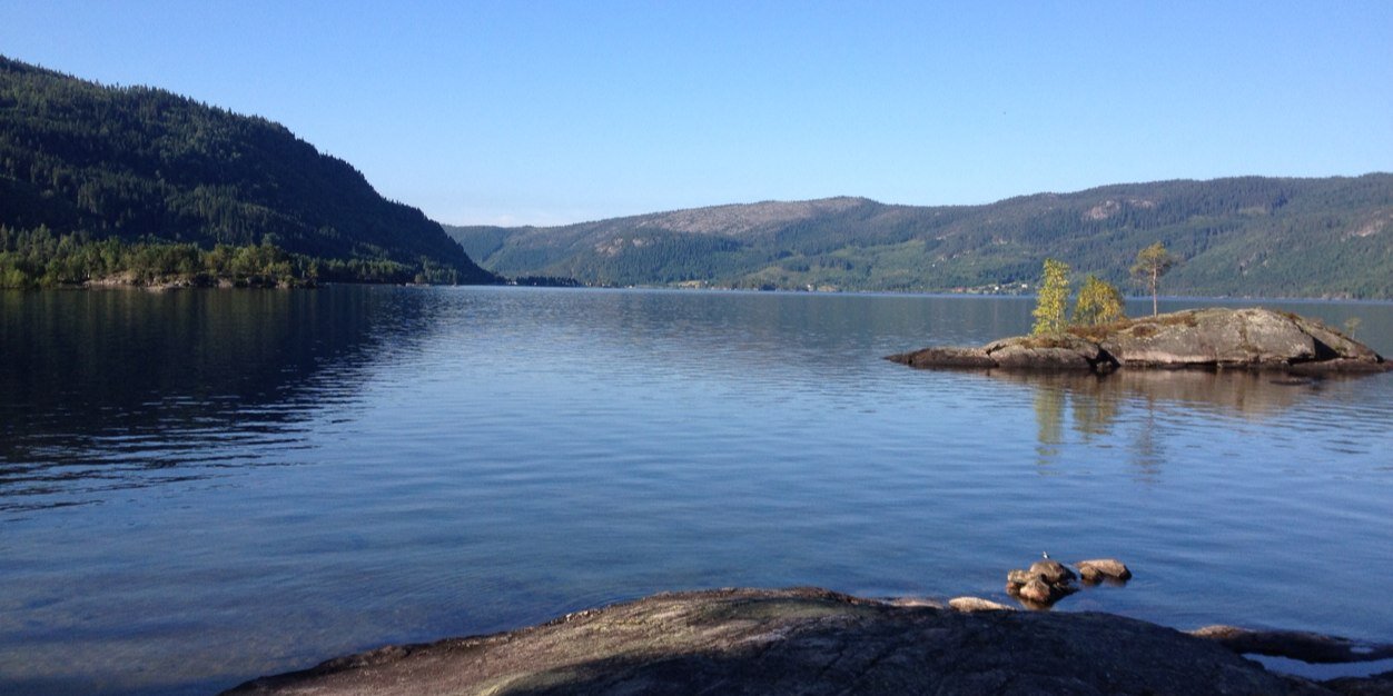 Andrew Barnes banner