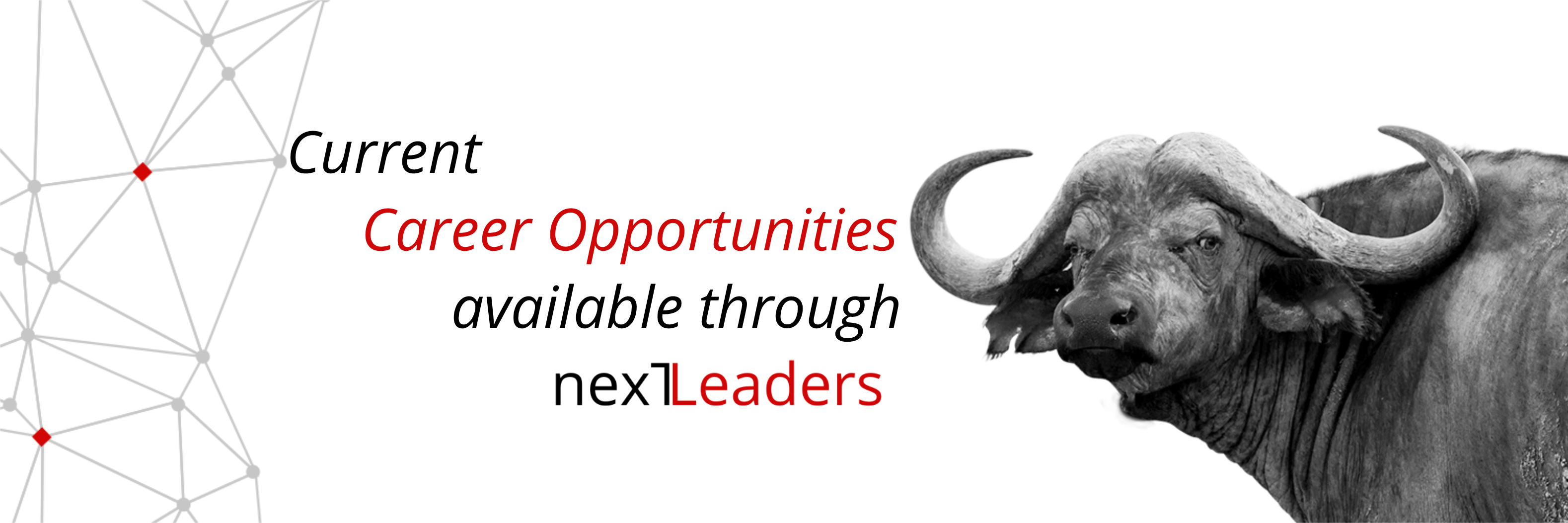 NXLJobs's profile banner image