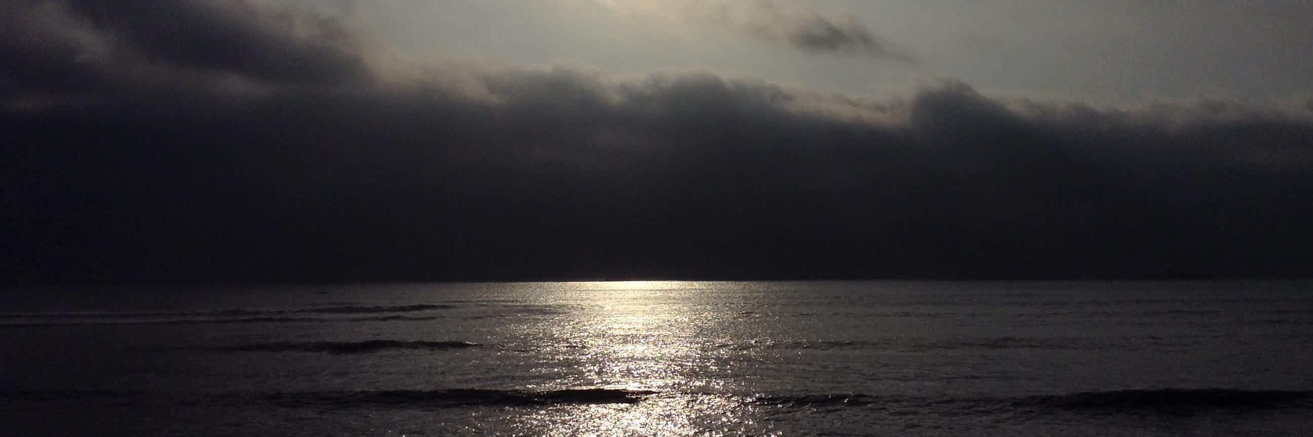 ElleryClimate's profile banner image
