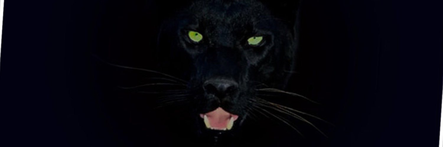 IamJmac7's profile banner image