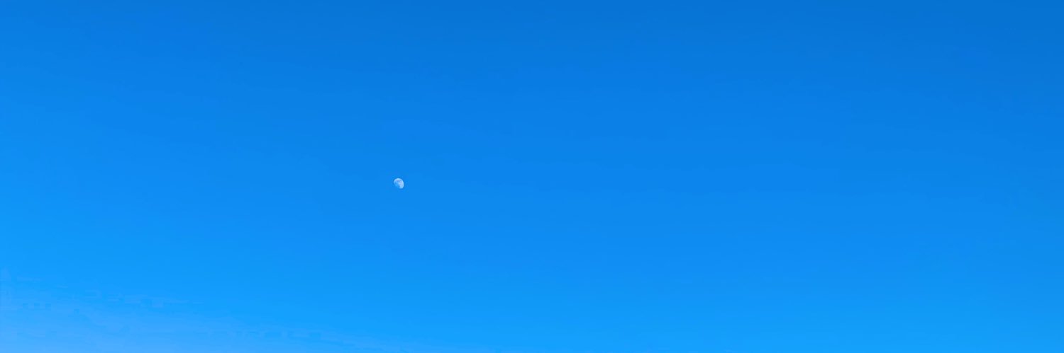 justlilss's profile banner image