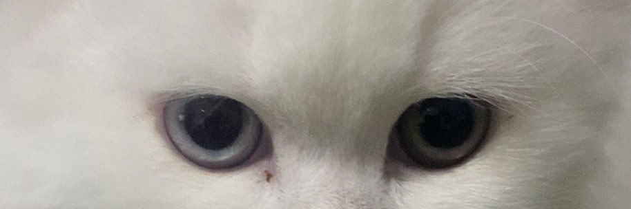 KadafiErbay's profile banner image