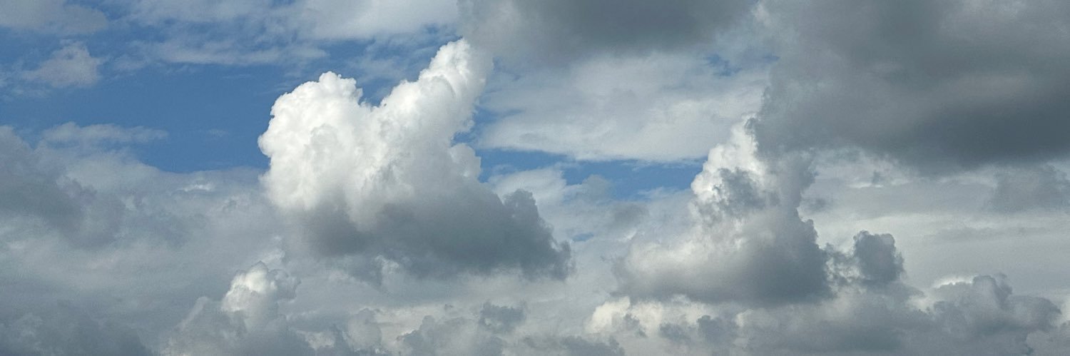 omochi1235🍛@く banner