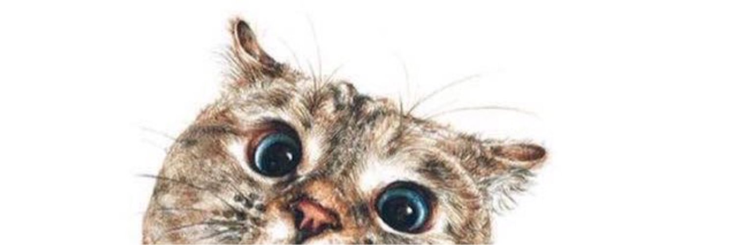 morenangprncesa's profile banner image