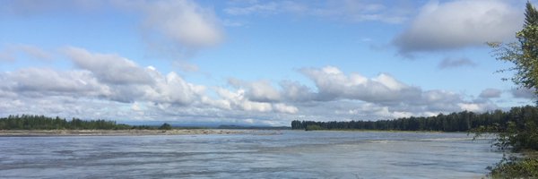 sunnylee92 Profile Banner