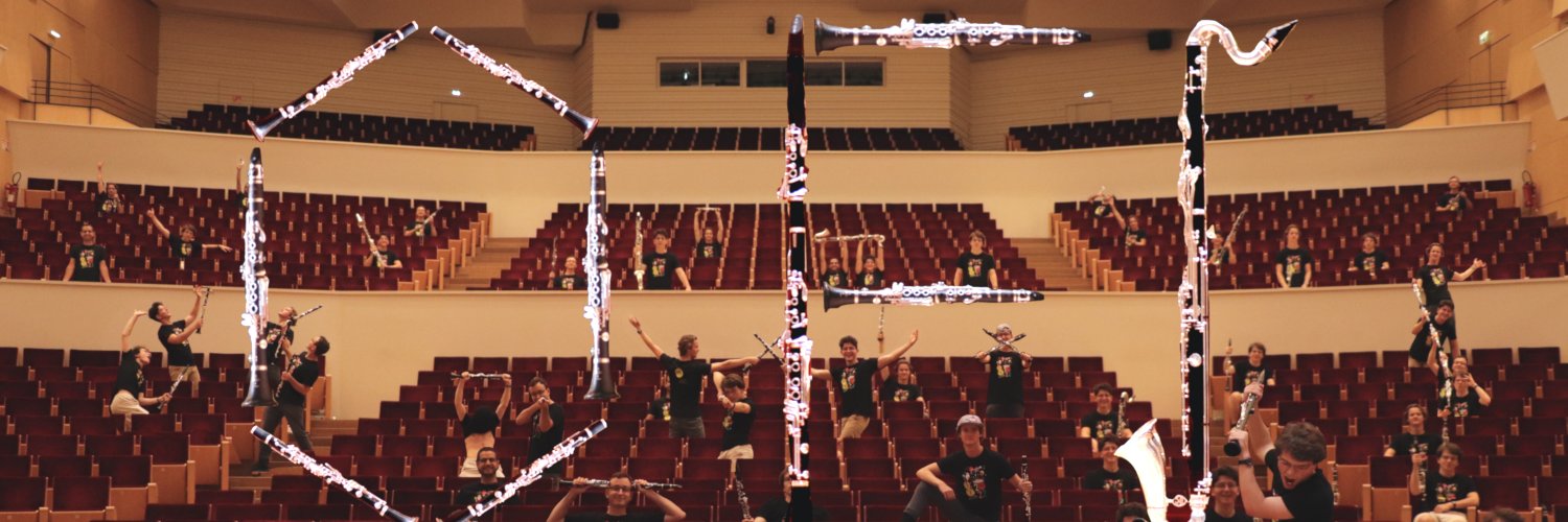 Orchestre Français des Jeunes banner