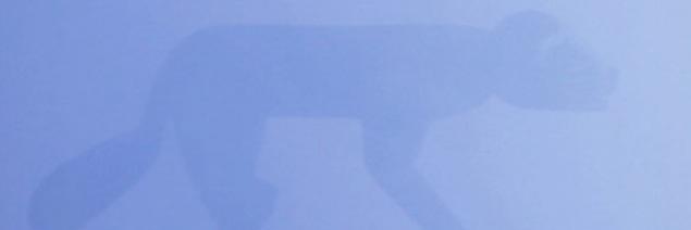 hayleywill14's profile banner image