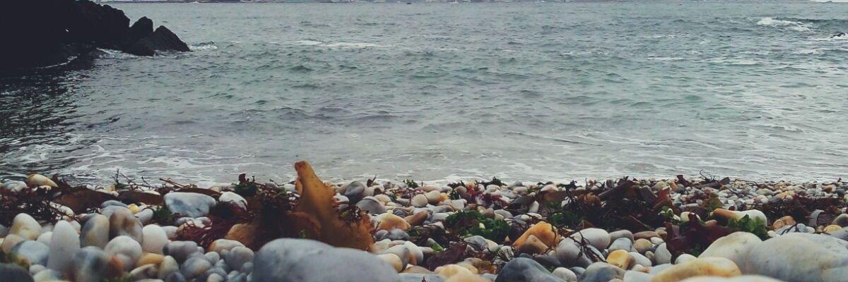 FanyOrjales's profile banner image