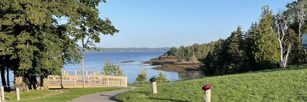 davideasnicar Profile Banner