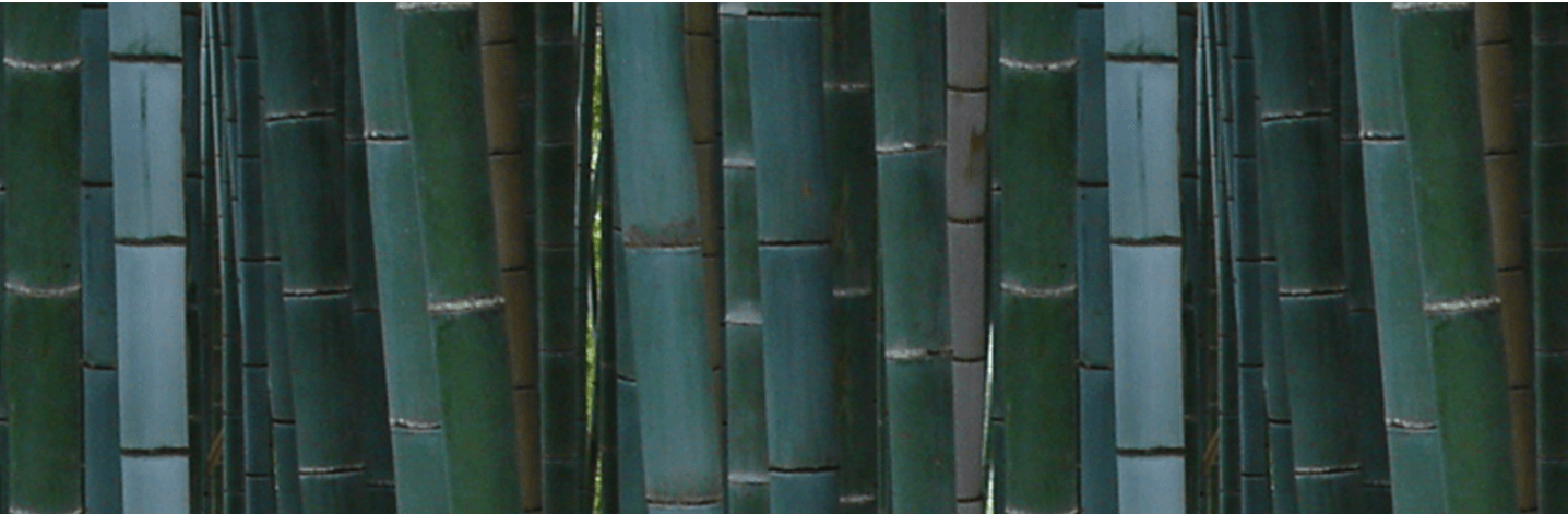 ceylonlang's profile banner image
