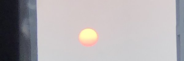 singhib4 Profile Banner