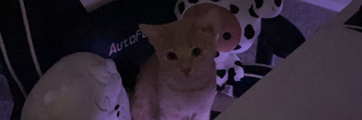 PR1NCEJOON's profile banner image
