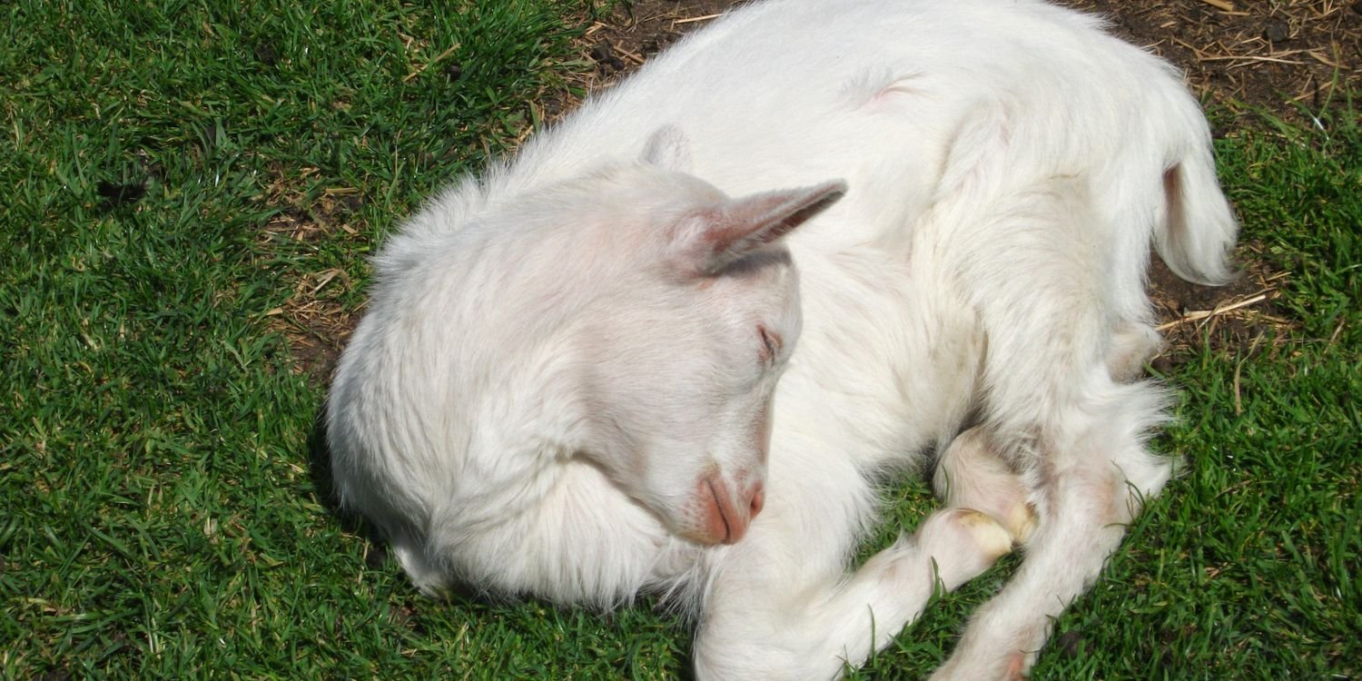 Finn O'Reilly banner