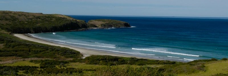 The Agency South Illawarra banner