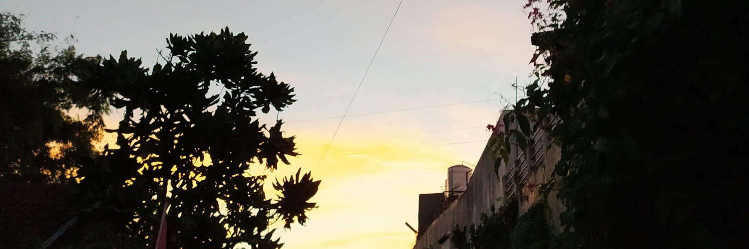 mengkolin's profile banner image
