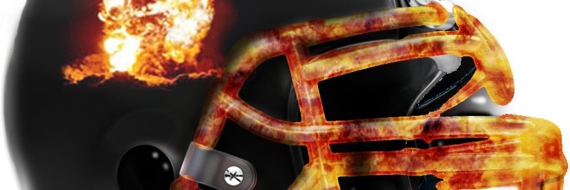Scot banner
