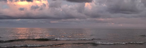 taylamarissa Profile Banner