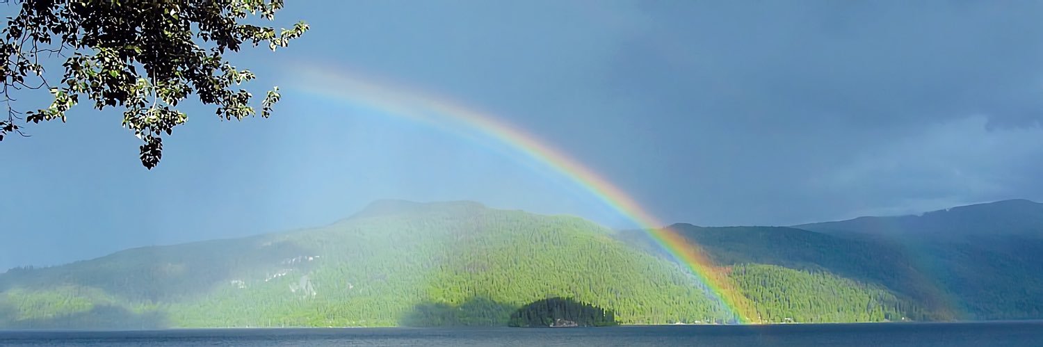 btc1319's profile banner image