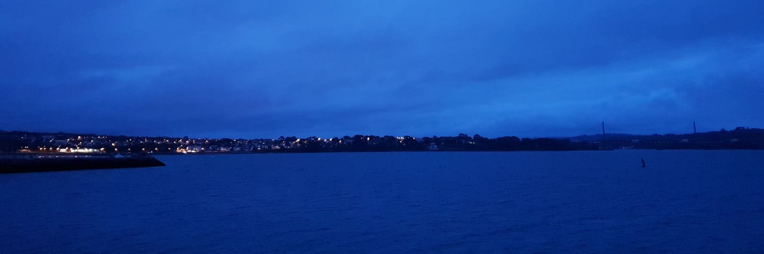 __Fidi's profile banner image