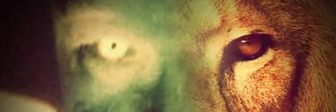 RioSelfmade's profile banner image