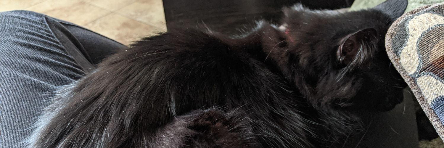 Pinkstitchy's profile banner image
