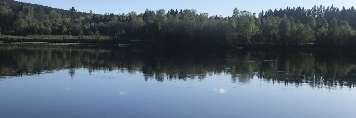 bubblan45's profile banner image