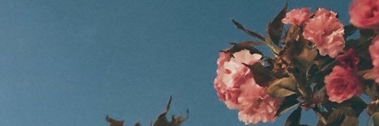 crissotu's profile banner image
