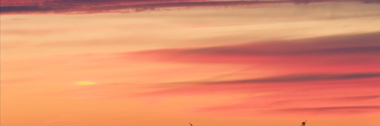 digoash's profile banner image