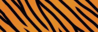 MrsWilliamson29's profile banner image