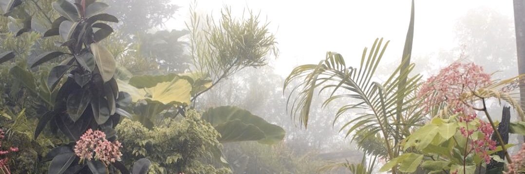 JessManville1's profile banner image