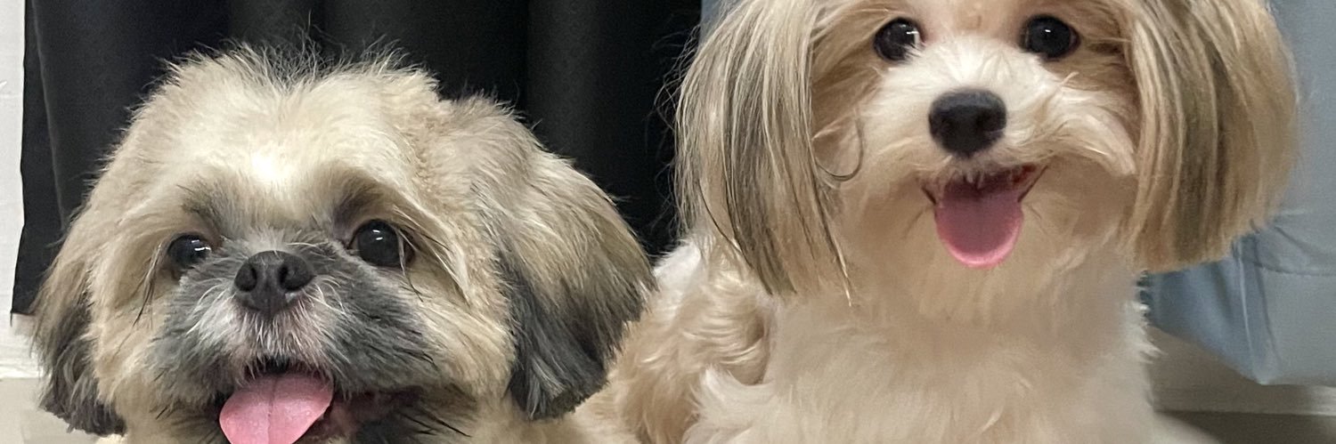 LilletteLynch's profile banner image