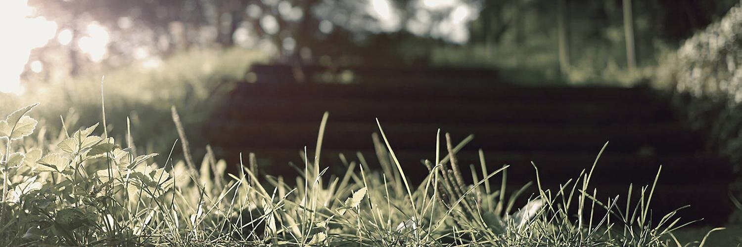 xsyip's profile banner image